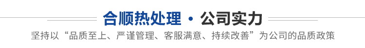 公司实力